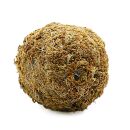 OPAquatics - WabiKusa Substrate Ball - 7 cm