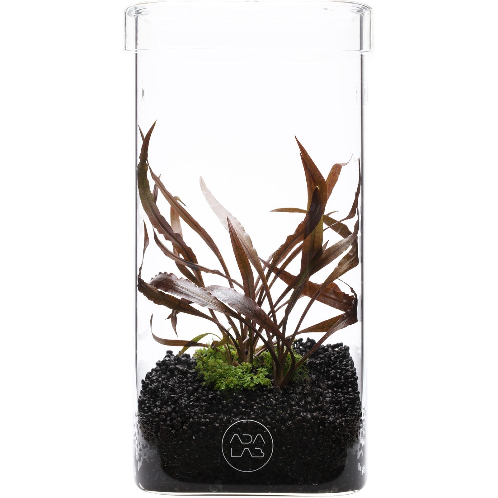 ADA - LAB Glass Pot KAKU
