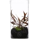 ADA - LAB Glass Pot KAKU