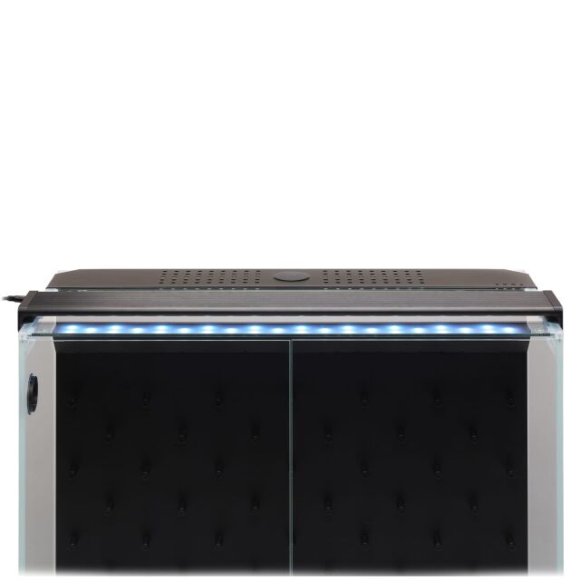 DOOA - Paluda Light II