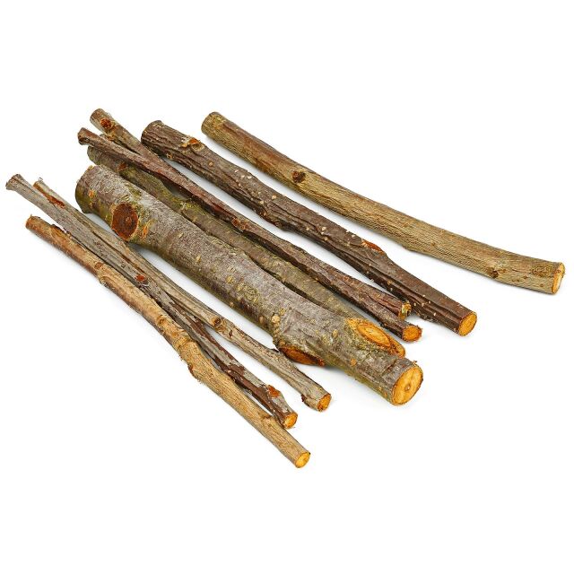 Wild cherry branches - 7x