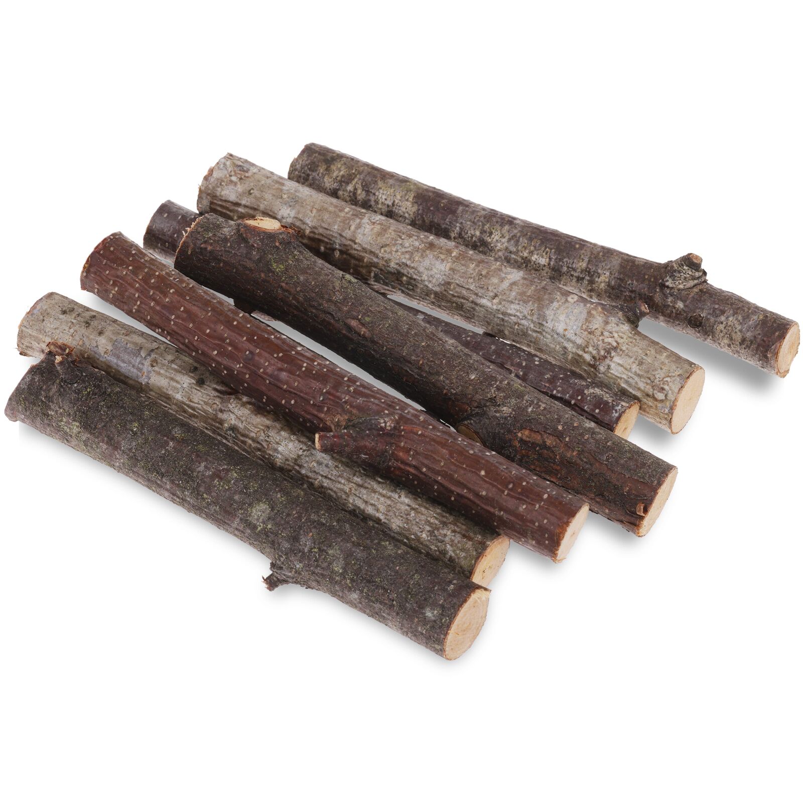 Birch branches - 7x