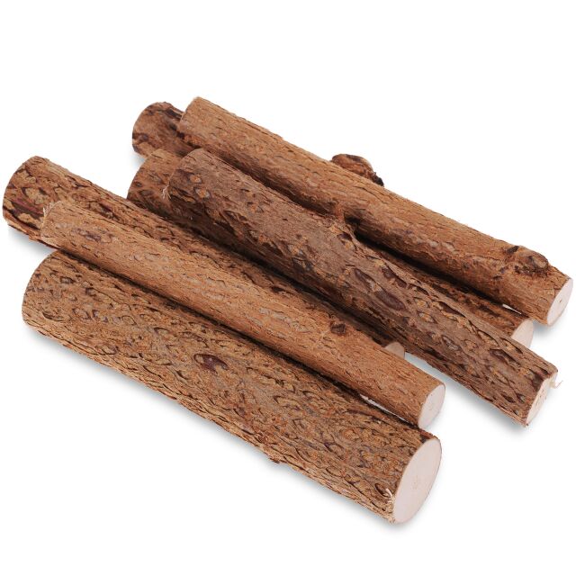 Hazelnut branches - 7x