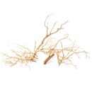 Manzanita