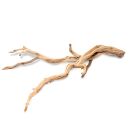 Ghost Wood - S