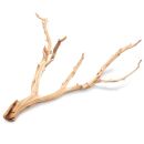 Ghost Wood - M