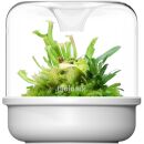 Bioloark - Luji Cup - MY 150 K - white