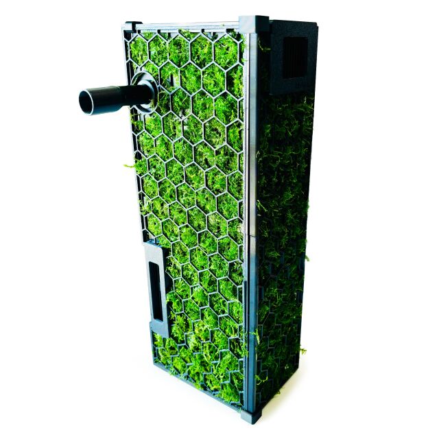 Moby Lab - Moss Wall