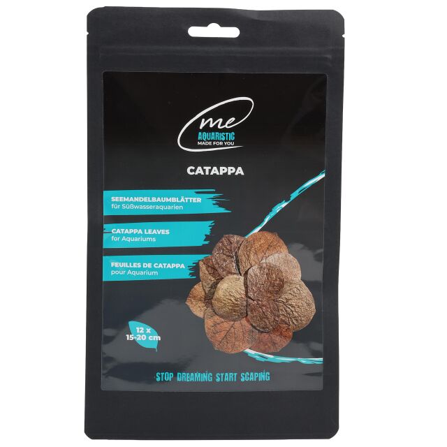 Me - Catappa - Almond tree leaves