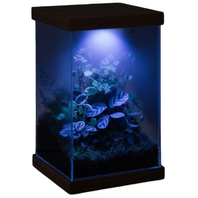 Aquael - Selva Mini Terrarium