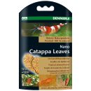 Dennerle - Nano Catappa Leaves - 12x