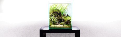 Buy aquarium affordable