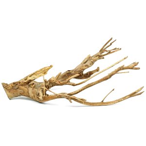 Talawa Wood - L