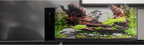 Dual All-In-One