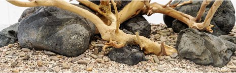Hardscape
