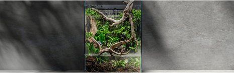 Paludarium